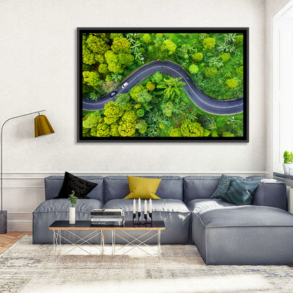 Summer Forest Road Aerial Wall Art