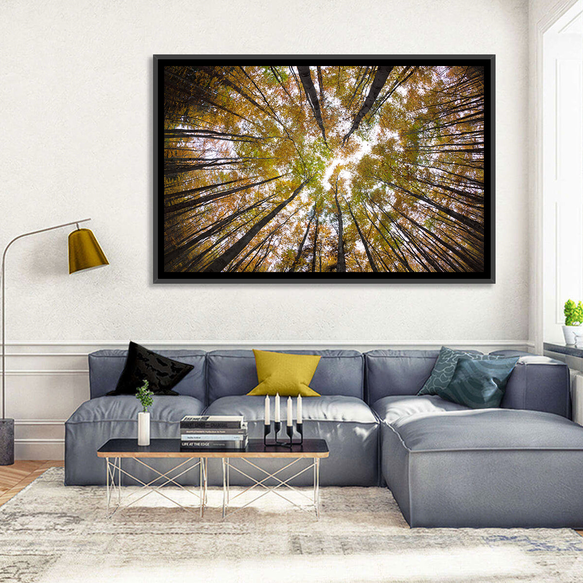 Autumn Forest Canopy Looking Up Wall Art in a room, landscape