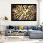 Autumn Forest Canopy Looking Up Wall Art