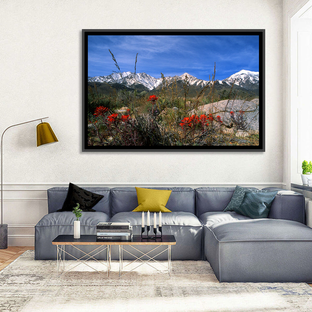 Sierra Nevada Wildflower Vista Wall Art