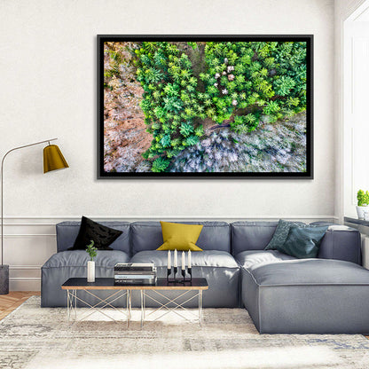 Vosges Mountains Wall Art