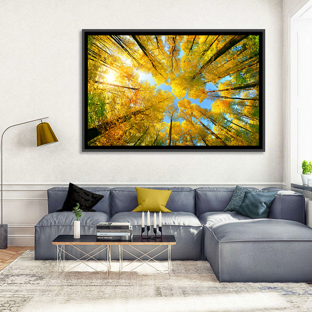 Golden Autumn Canopy Wall Art