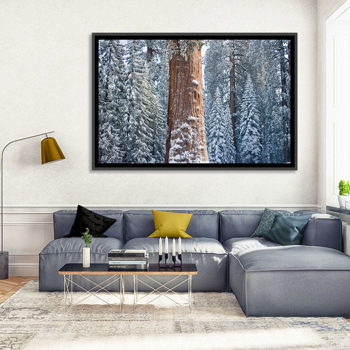 Winter Giant Sequoia in Snowy Forest Wall Art