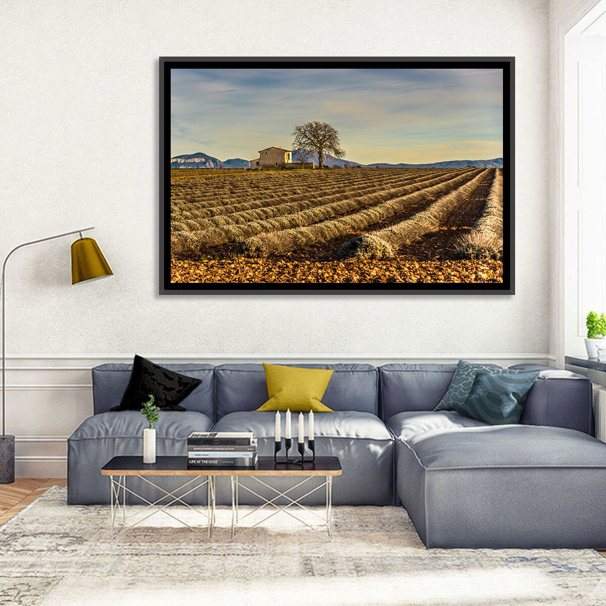 Rustic Provence Lavender Rows at Golden Hour Wall Art in a room, landscape