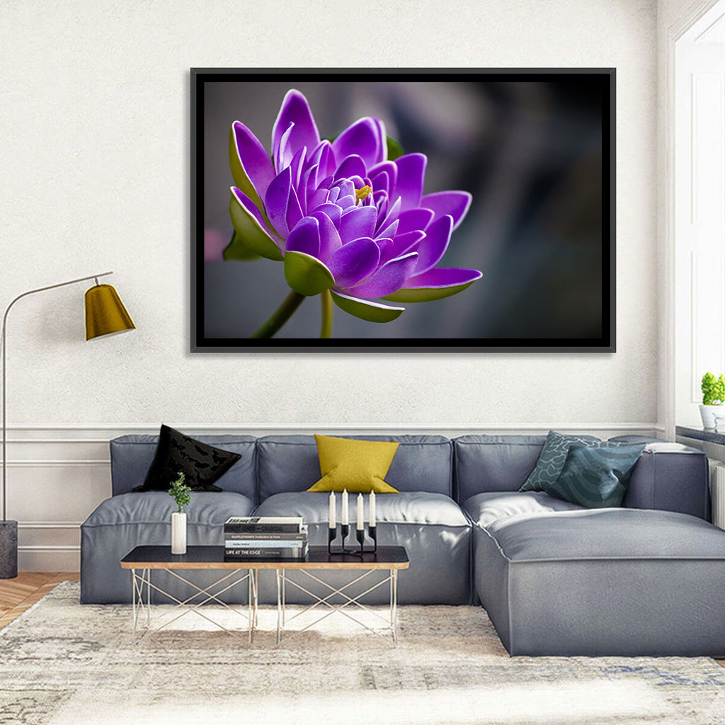 Purple Water Lily Close-up Wall Art