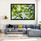 Sunlit Tree Canopy Wall Art