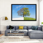 Split Season Tree Landscape Wall Art
