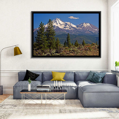 Mount Shasta Wall Art
