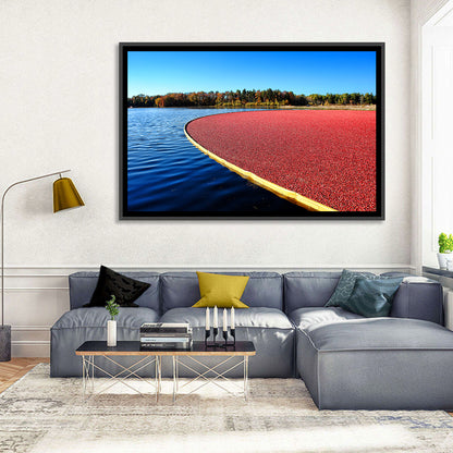 Flooded Cranberry Bog Wall Art