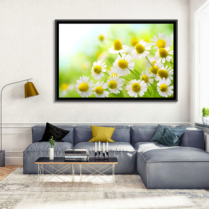 Chamomile Flowers Wall Art