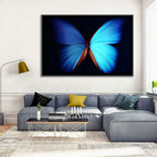 Blue Butterfly Macro Study Wall Art