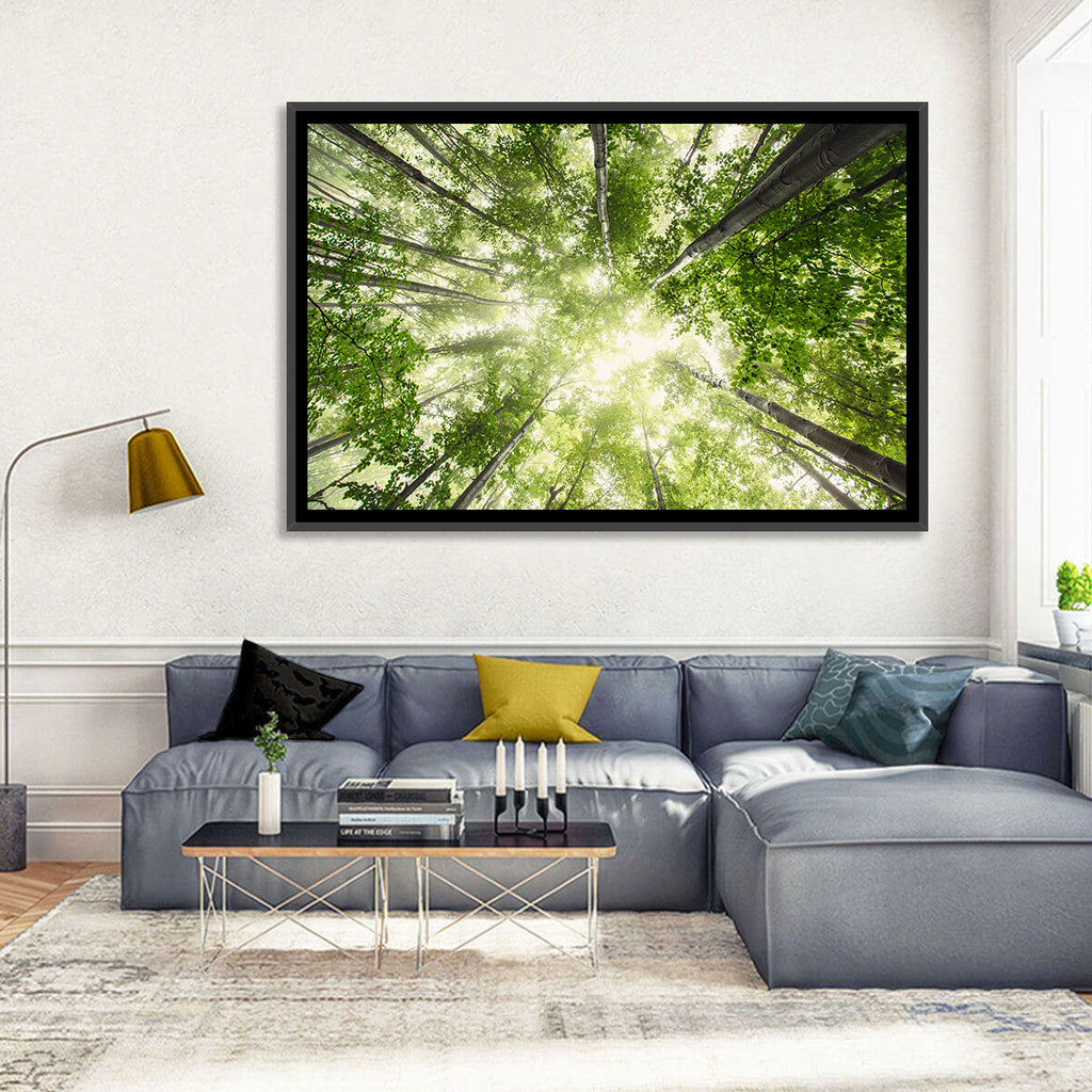 Spring Canopy in Morning Mist Wall Art
