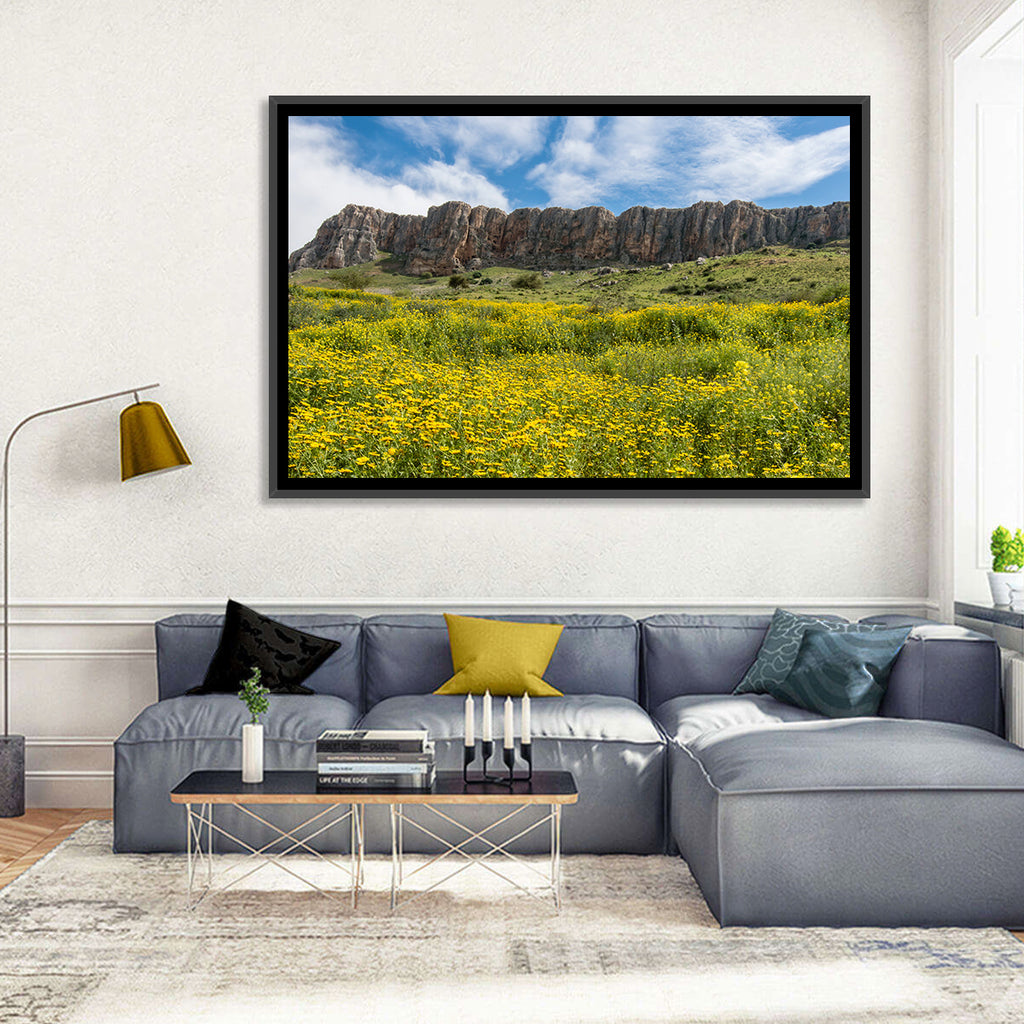 Mount Arbel Wildflower Meadow Wall Art
