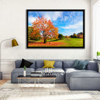 Orange Maple on Rolling Hill Wall Art