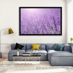 Sunlit Lavender Field Wall Art