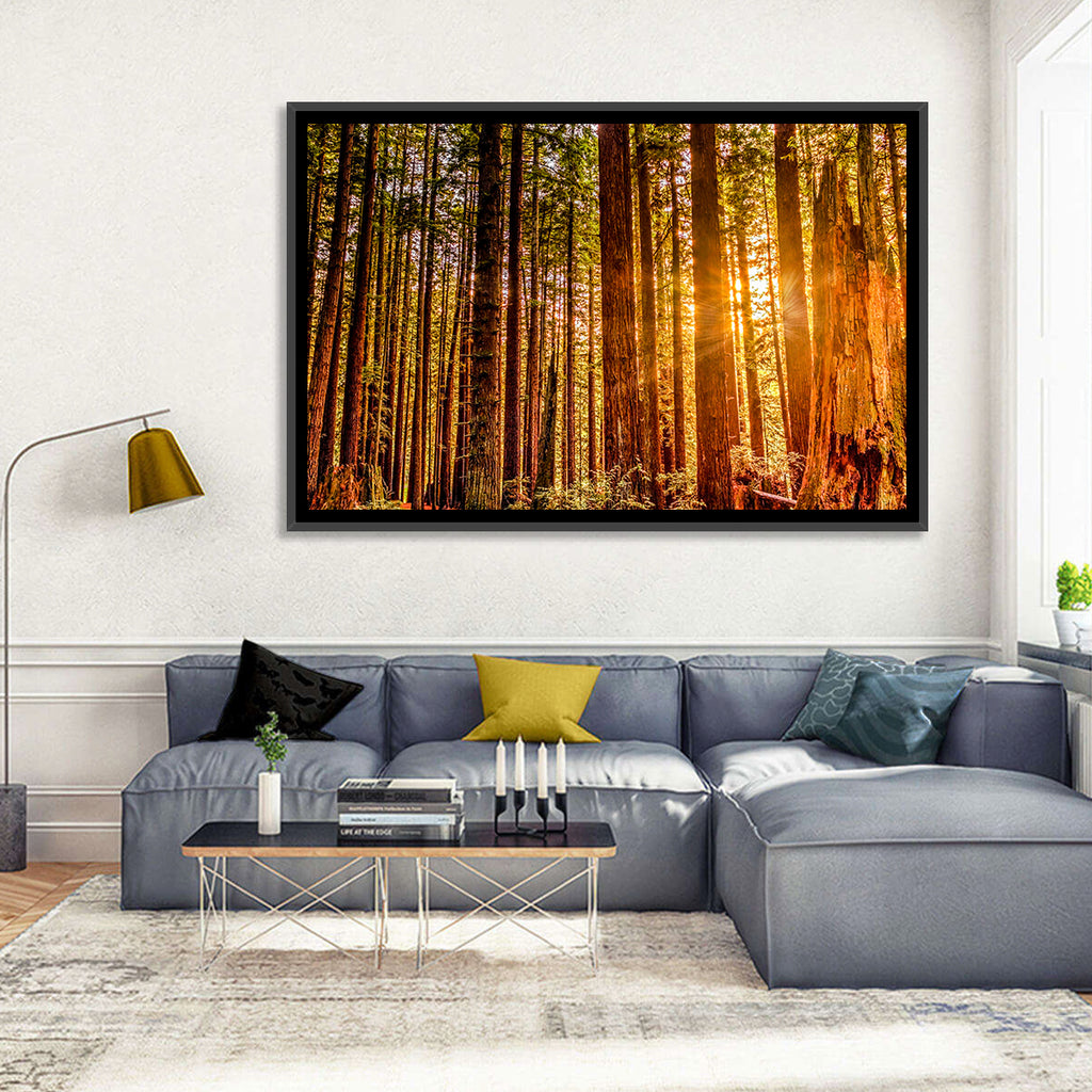 Golden Hour Redwood Sunburst Wall Art