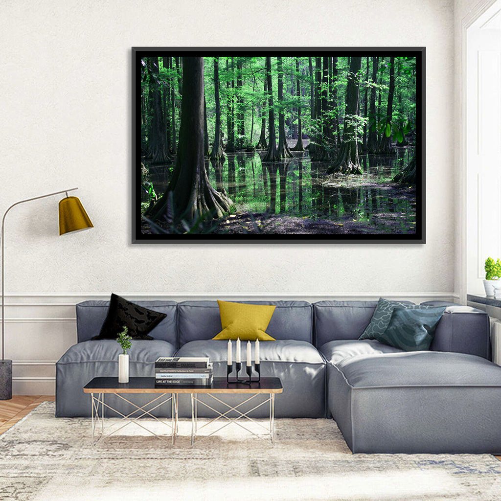 Congaree Swamp Reflection Wall Art