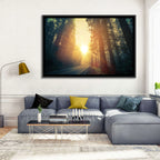 Misty Redwood Road with Golden Sunburst Wall Art