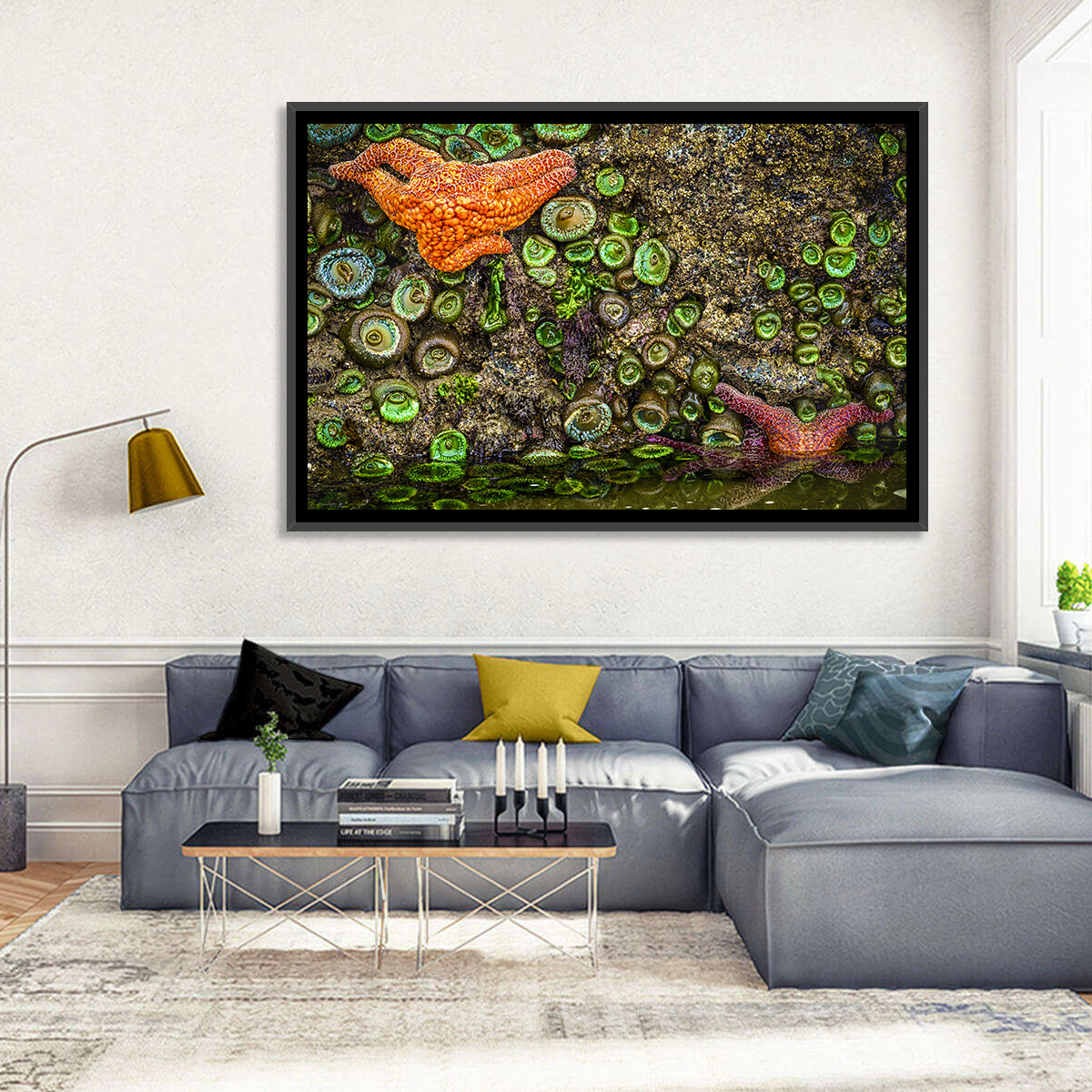 Orange Starfish Tide Pool Wall Art in a room, landscape