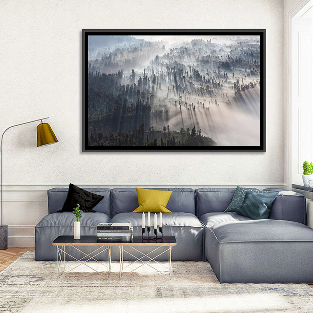 Misty Forest Sunrise Wall Art