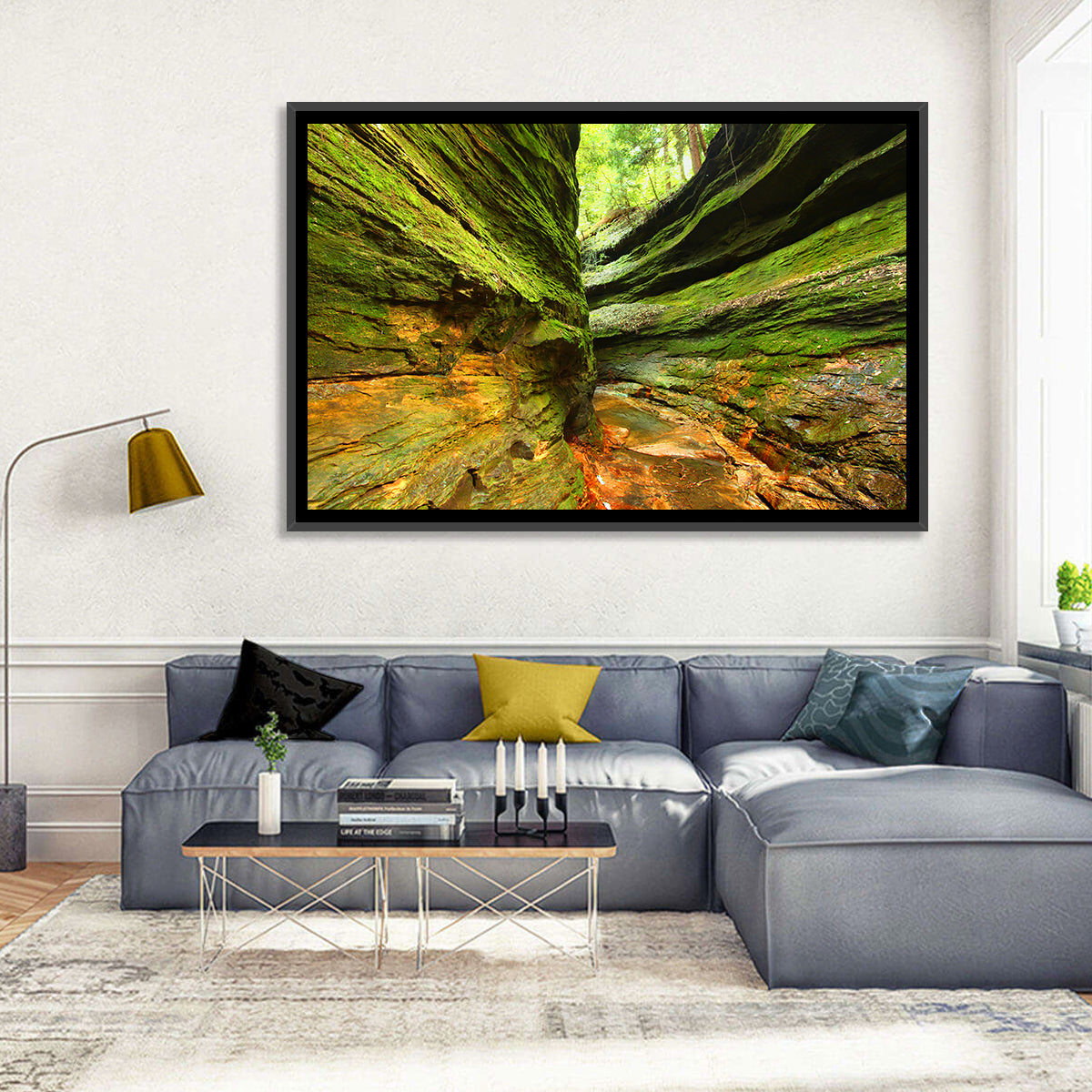 Turkey Run State Park Canyon Wall Art
