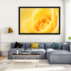 Soft-lit Yellow Rose Close-up Wall Art