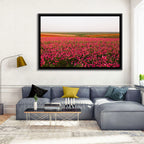 Pink Ranunculus Flower Field Wall Art
