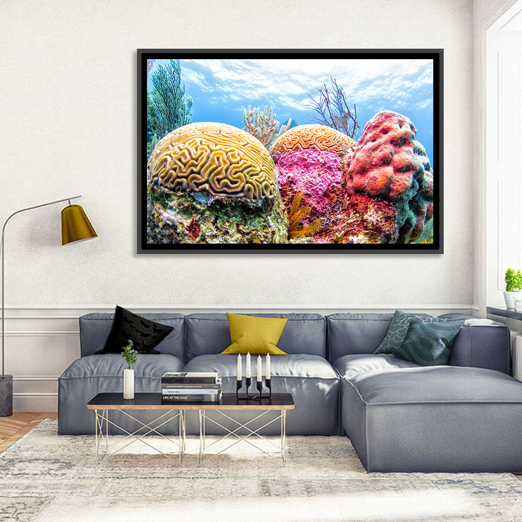 Vibrant Brain Coral Reef Wall Art