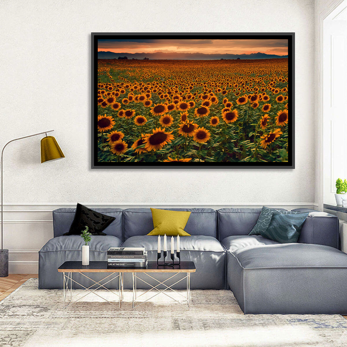 Colorado Sunflower Field at Sunset Wall Art in a room, landscape