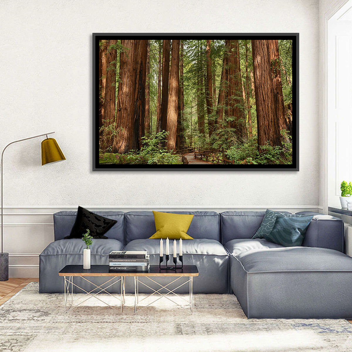 Muir Woods Redwood Trail Wall Art in a room, landscape