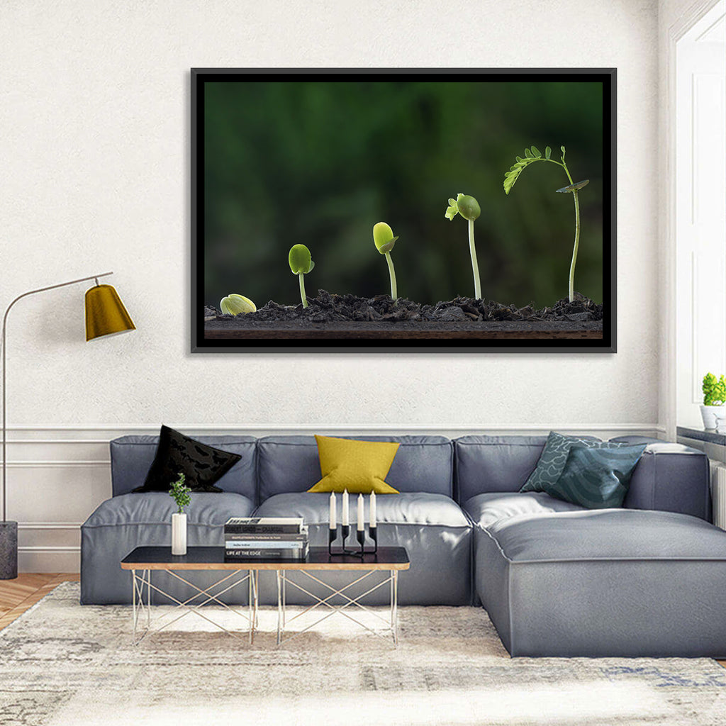 Five-stage Plant Growth Wall Art