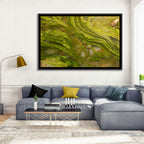 Macro Algae Stream Wall Art