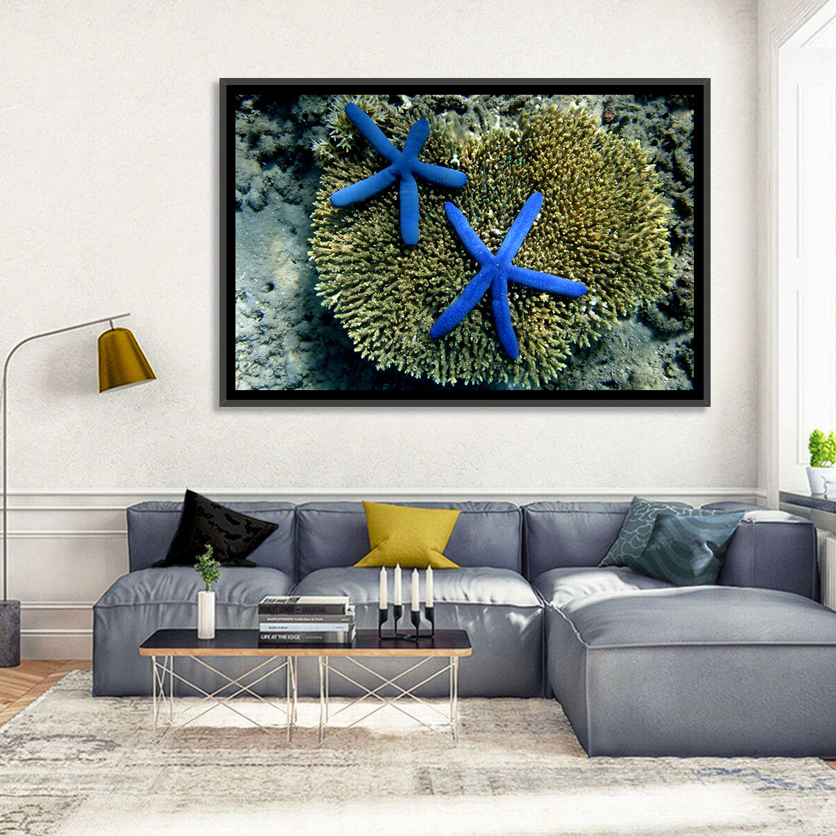 Blue Starfish Wall Art in a room, landscape