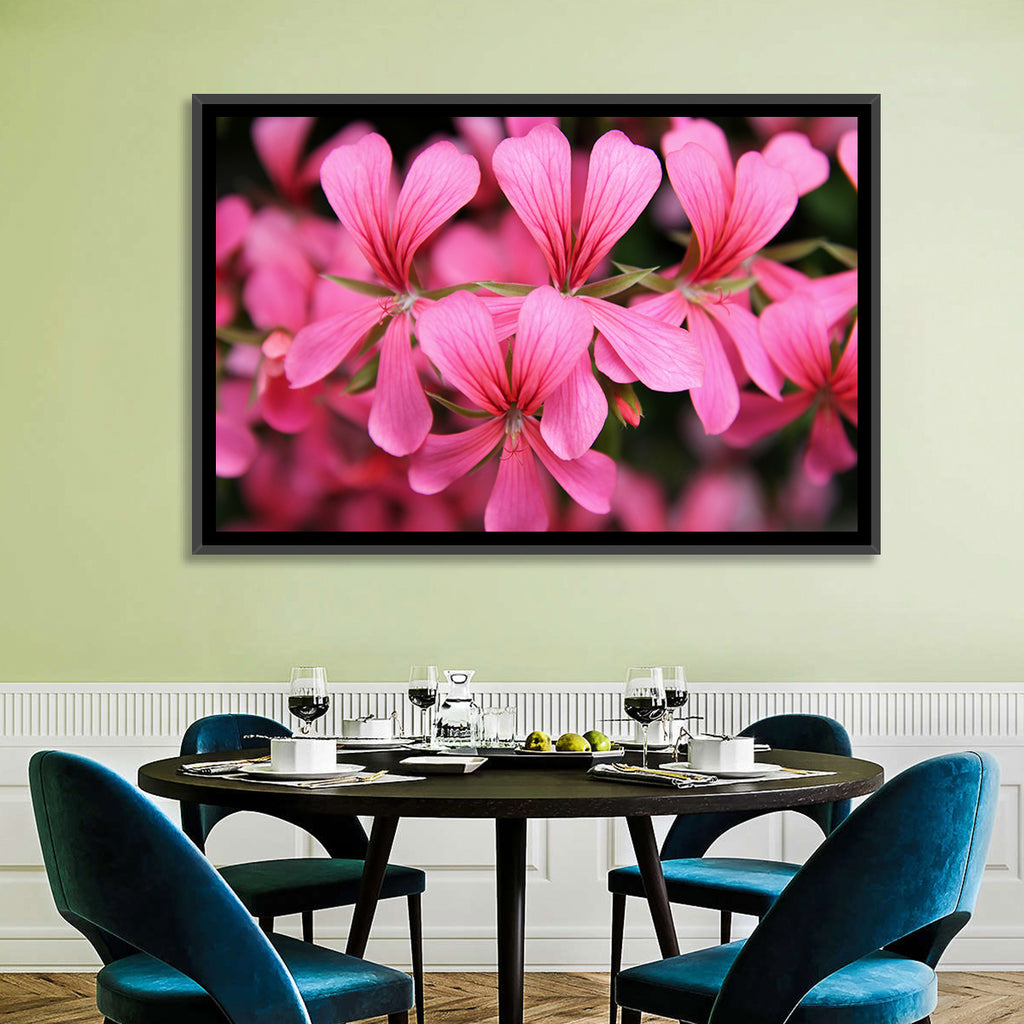 Pink Geranium Close Up Wall Art