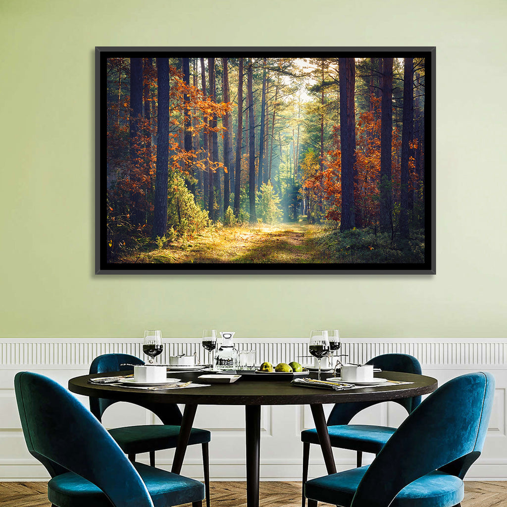 Sunlit Autumn Pine Forest Wall Art