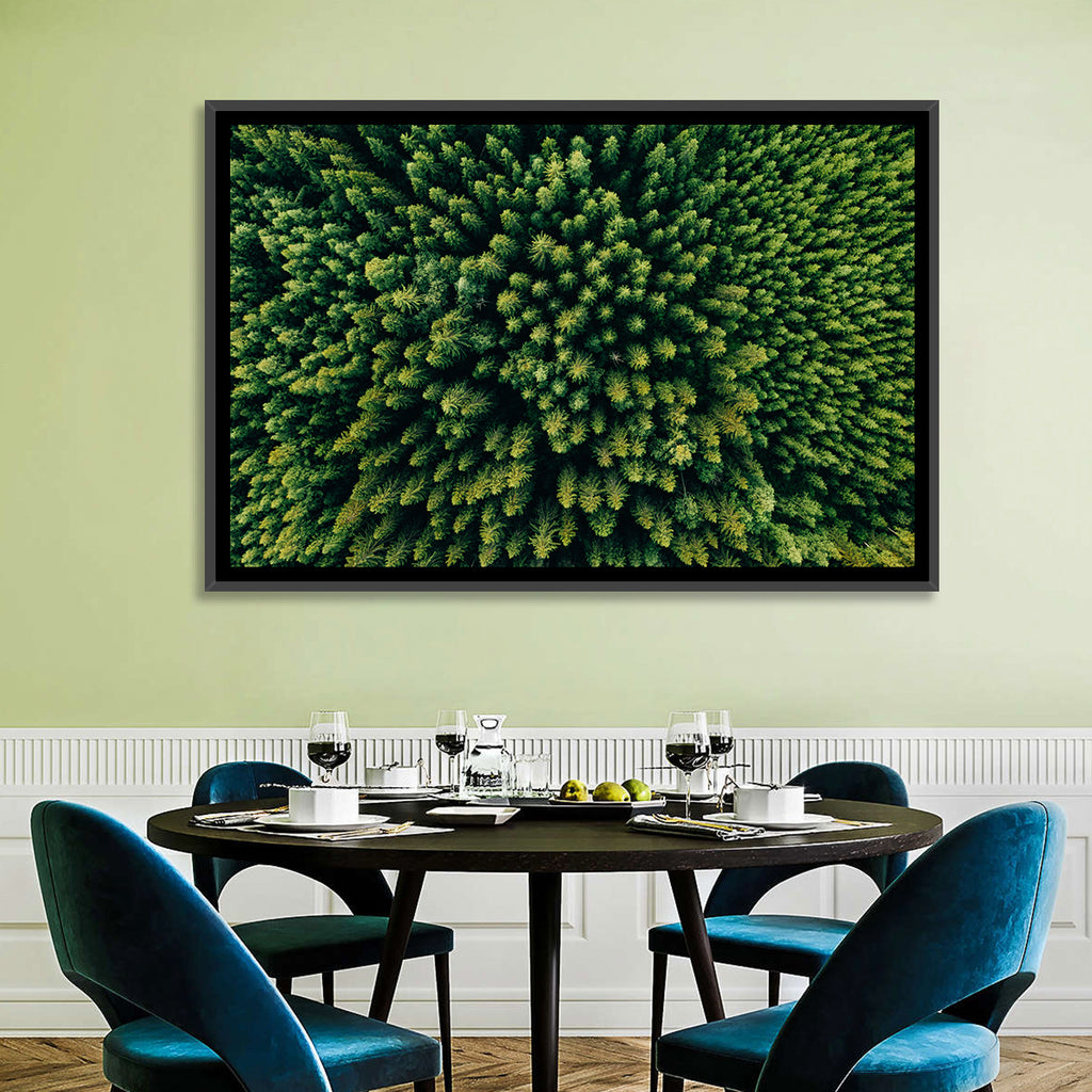 Aerial Conifer Canopy Wall Art