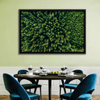 Aerial Conifer Canopy Wall Art