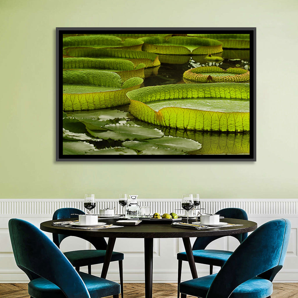Giant Victoria Amazonica Lily Pads Wall Art
