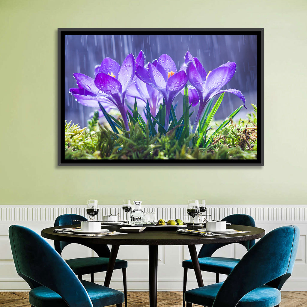 Rainy Purple Crocuses Wall Art