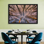 Misty Forest Canopy Wall Art