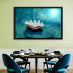 Giant Clam Shell Wall Art