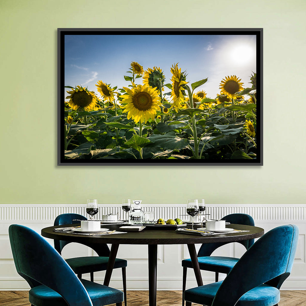 Backlit Sunflower Field Wall Art