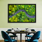 Winding Tropical Forest Road Wall Art