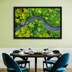 Summer Forest Road Aerial Wall Art