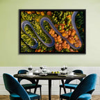 Autumn Aerial Mountain Road Wall Art