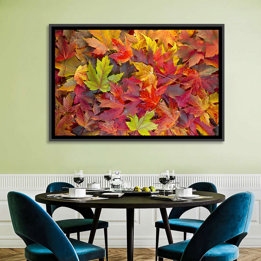 Autumn Maple Leaves Close-up Wall Art