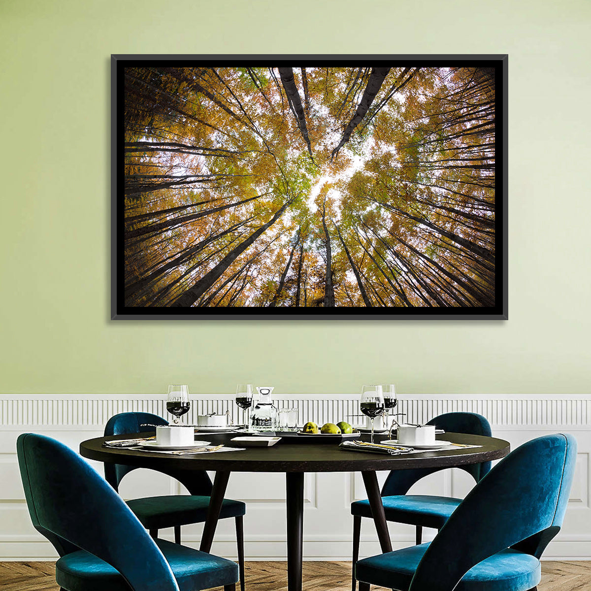 Autumn Forest Canopy Looking Up Wall Art in a room, landscape