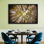 Autumn Forest Canopy Looking Up Wall Art