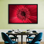 Red Gerbera Daisy Macro Close Up Wall Art