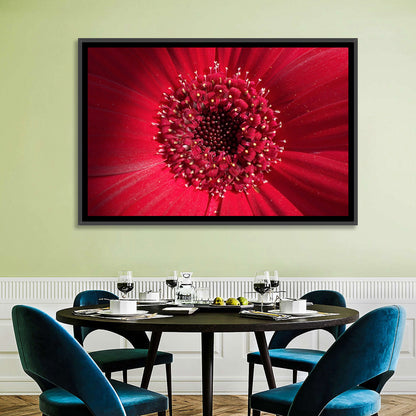 Gerbera Daisy Wall Art